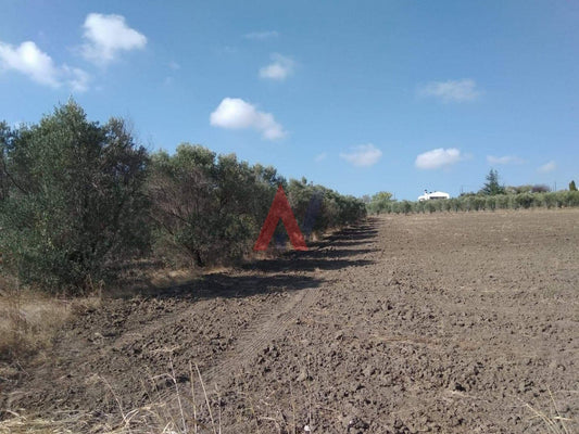 Πωλείται Αγροτεμάχιο 8.400τμ Τρίλοφος Περίχωρα Θεσσαλονίκη