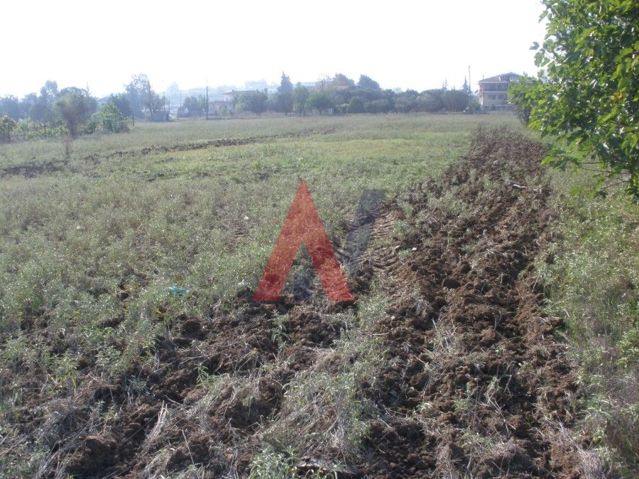 Plot of land 5.110 sq.m. Kampos Perea Thessaloniki for sale