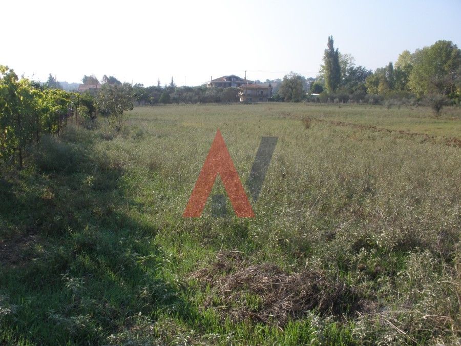 Plot of land 5.110 sq.m. Kampos Perea Thessaloniki for sale