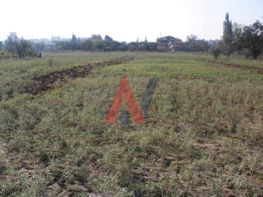 Plot of land 5.110 sq.m. Kampos Perea Thessaloniki for sale