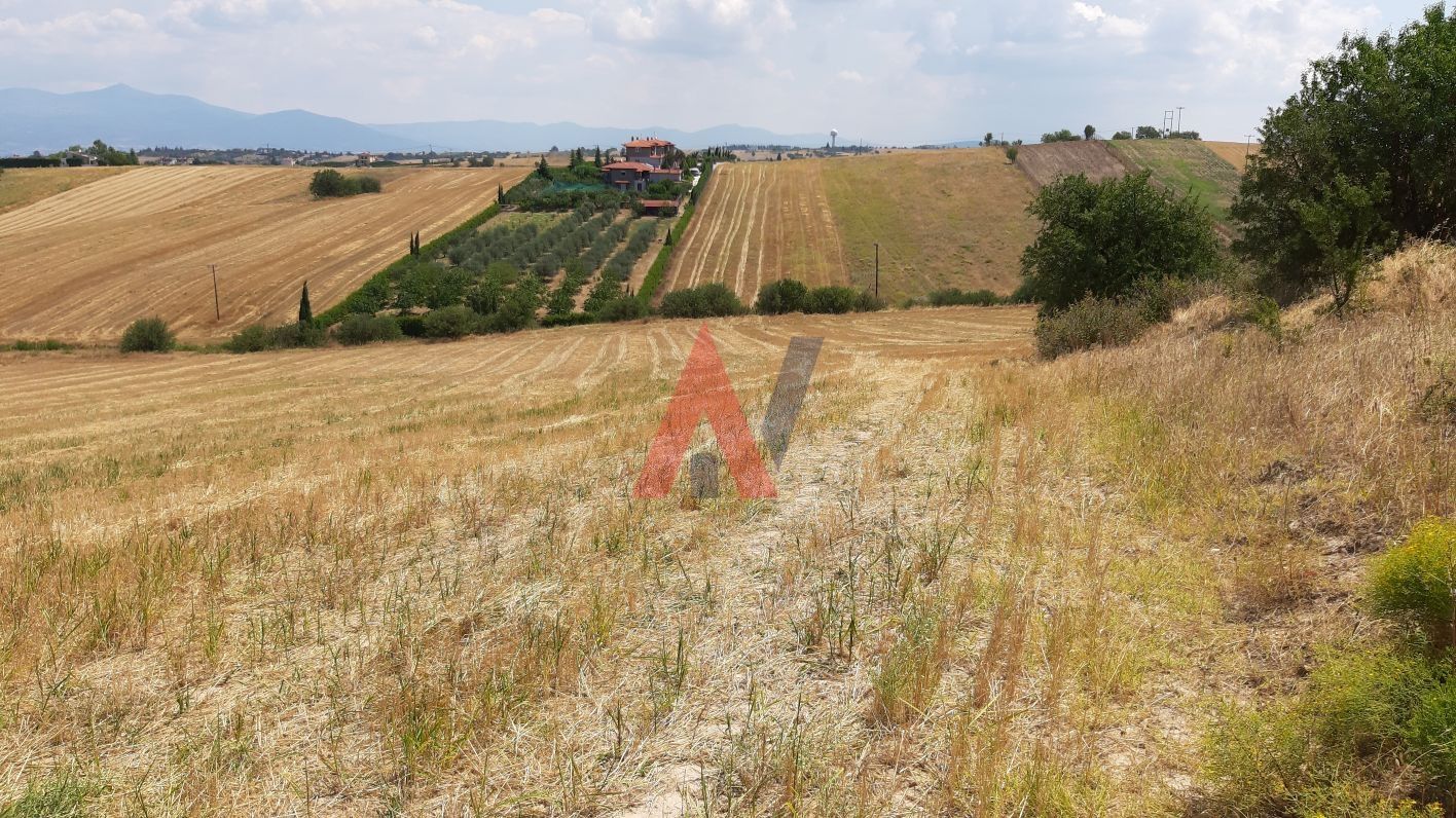 Plot of land 20,500 sq m for sale, Epanomi Perichora, Thessaloniki