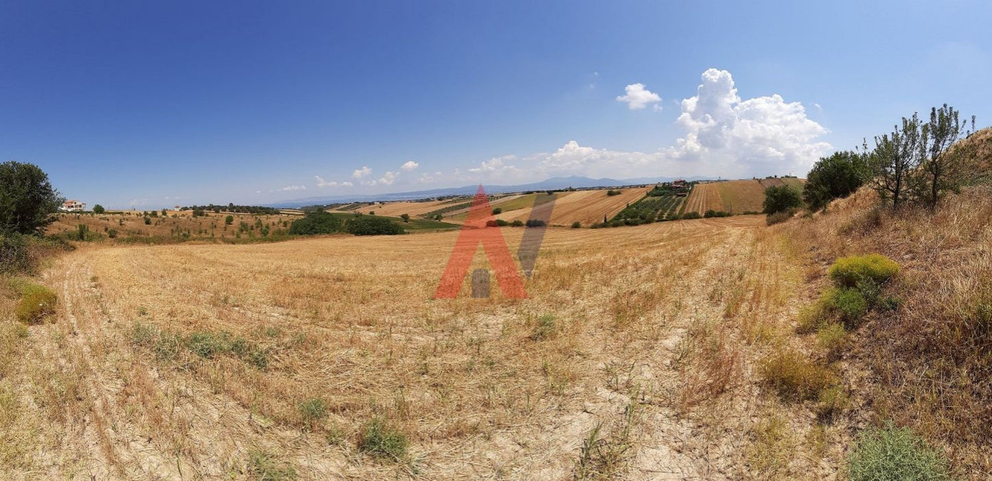 Plot of land 20,500 sq m for sale, Epanomi Perichora, Thessaloniki