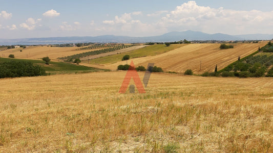 Plot of land 20,500 sq m for sale, Epanomi Perichora, Thessaloniki