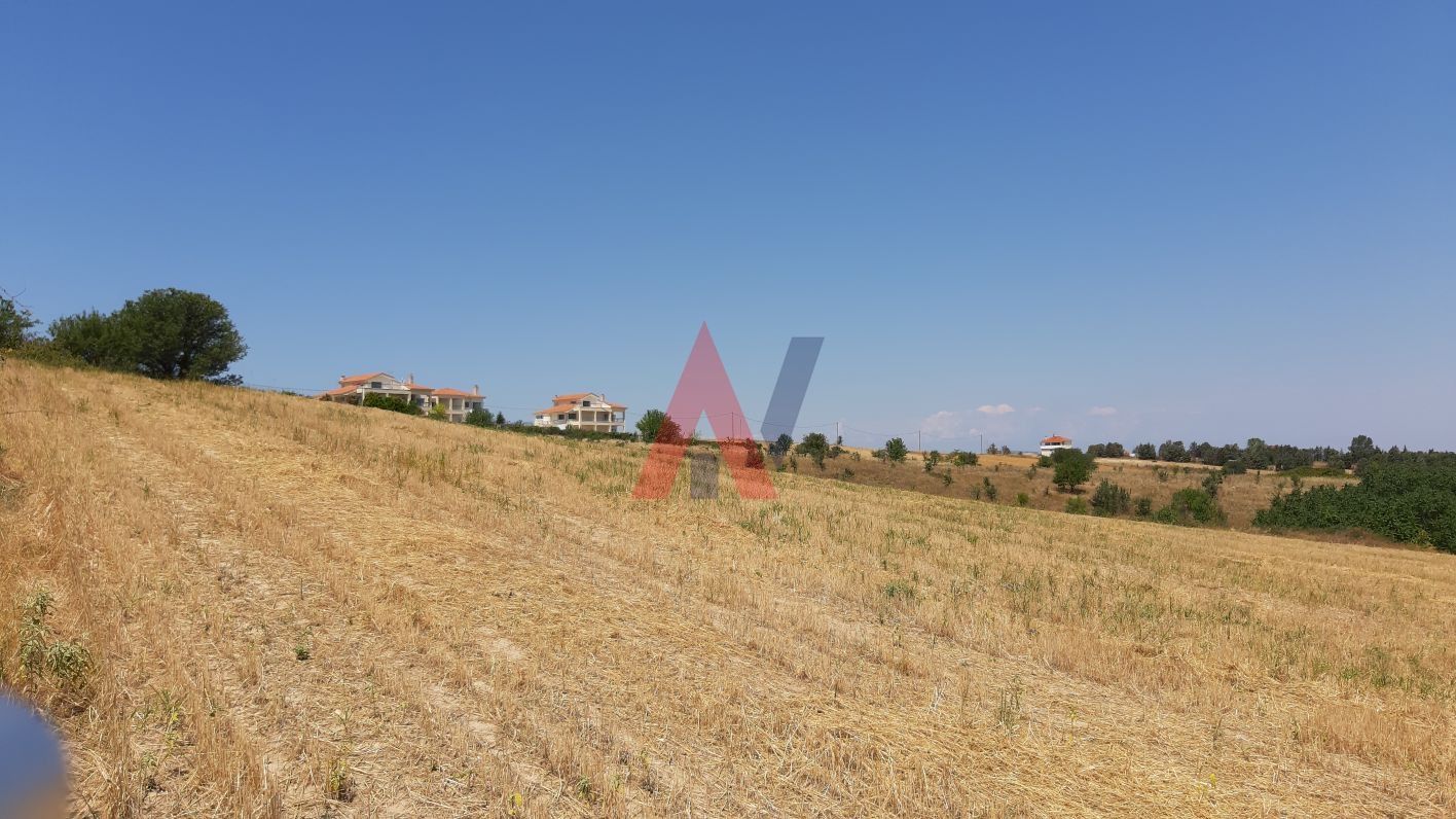 Plot of land 20,500 sq m for sale, Epanomi Perichora, Thessaloniki