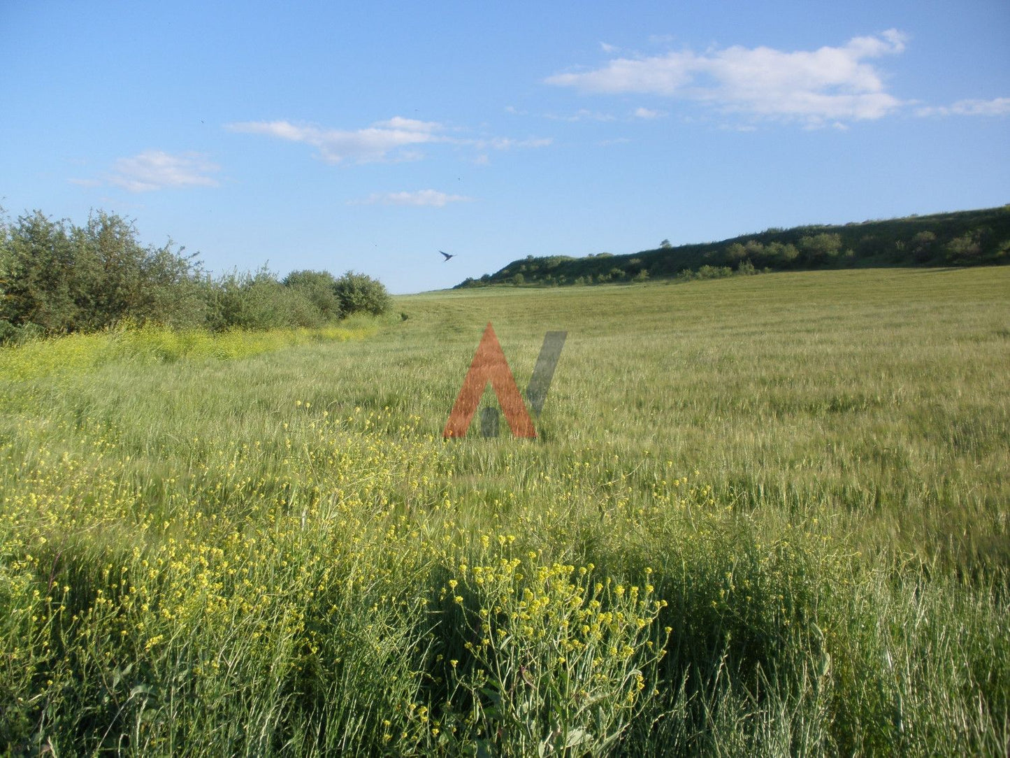 Plot of land 20,500 sq m for sale, Epanomi Perichora, Thessaloniki