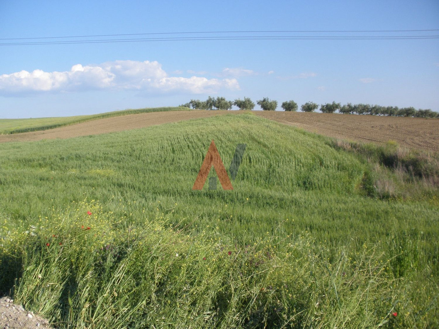 Plot of land 20,750 sq m for sale, Epanomi Perihora, Thessaloniki