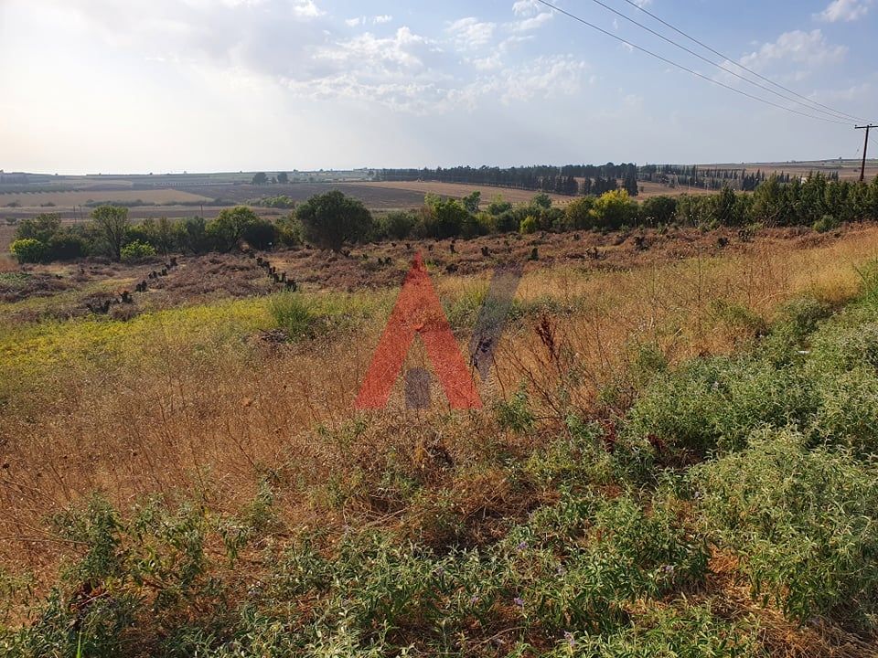 Plot of land 6,500 sq m for sale, N. Kallikrateia, Halkidiki 