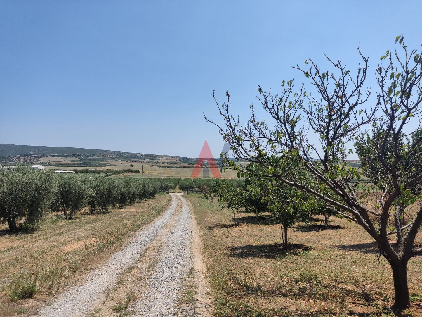 Πωλείται 3 επιπέδων Μονοκατοικία 196τμ Ροδόκηπος Χαλκιδική