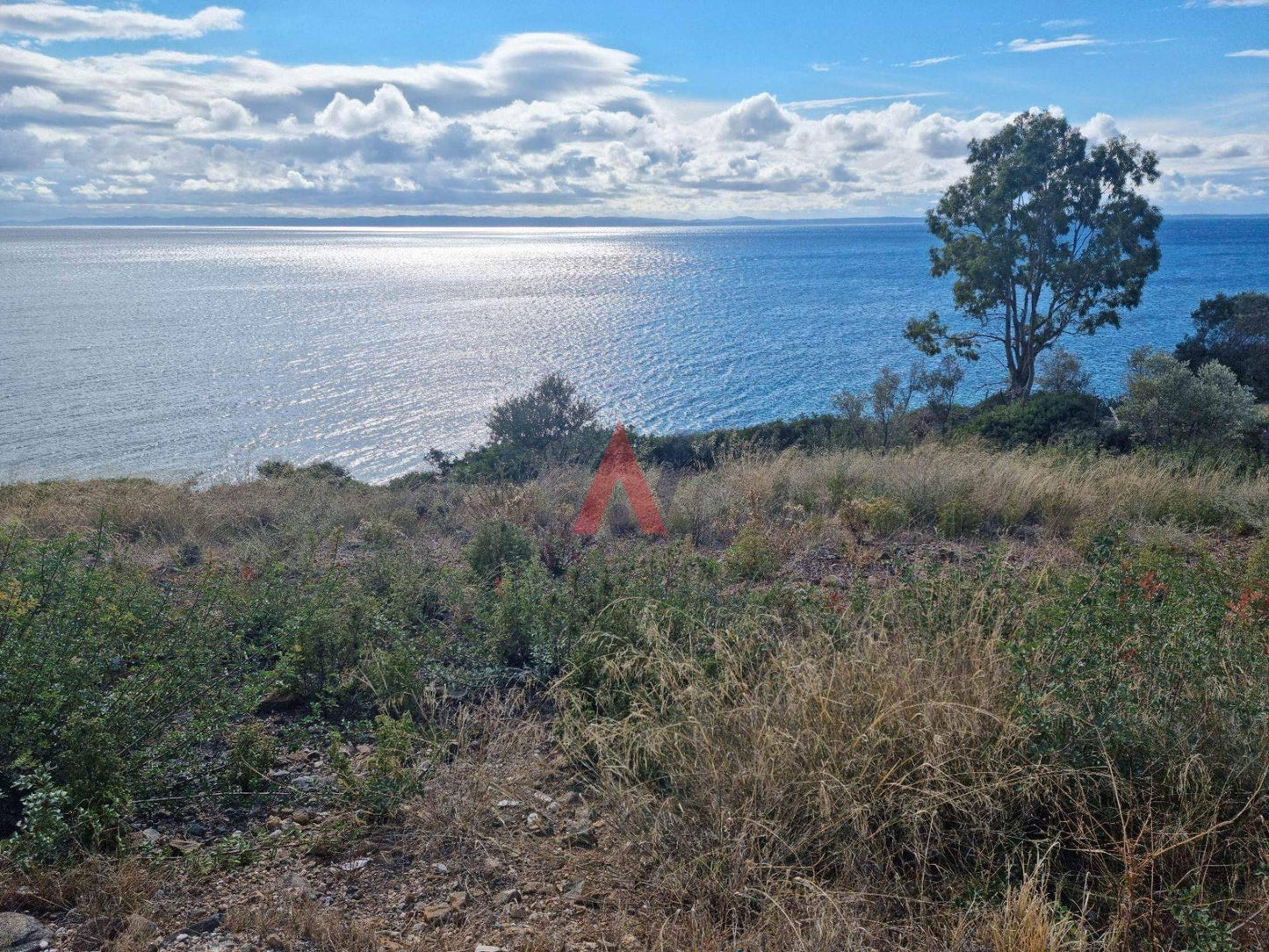 Plot of land 4,713 sq m for sale, Trikorfo, Gerakini, Halkidiki 