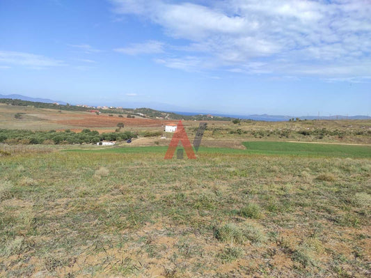Plot of land 9,040 sq m for sale, Nea Roda, Halkidiki 