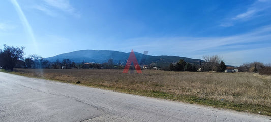 Plot of land 12,754 sq m for sale, Souroti Perihora, Thessaloniki 