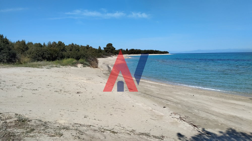 Plot of land 3,500 sq m Paliouri Halkidiki for sale 