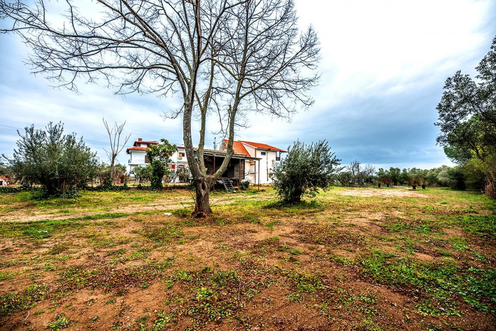 Plot of land 2.001 sq m for sale, Epanomi Perichora, Thessaloniki 