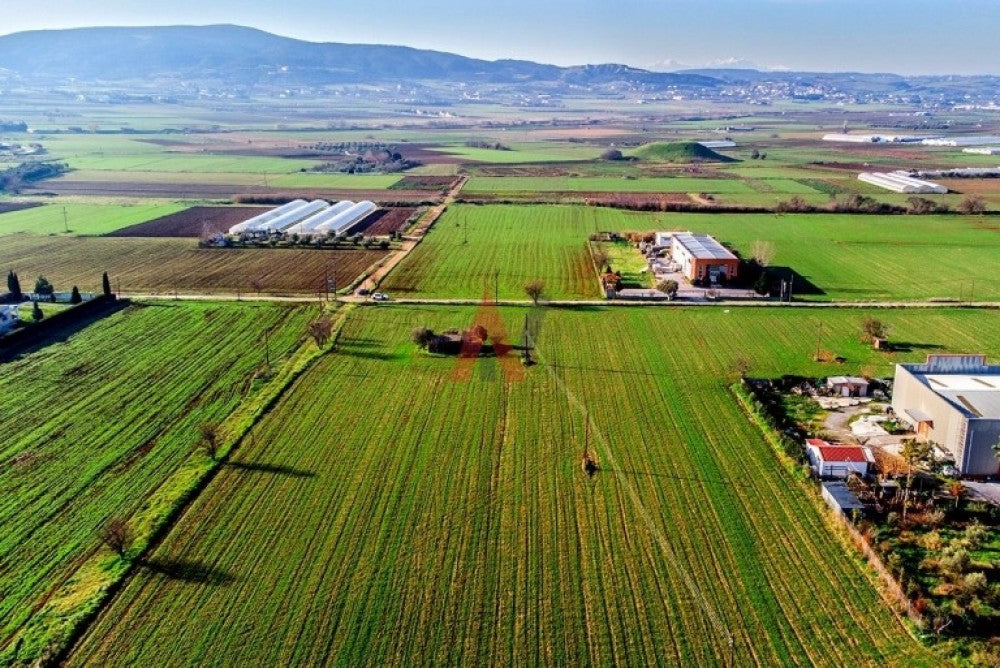Plot of land 12,500 sq m for sale, Vasilika Perichora, Thessaloniki 