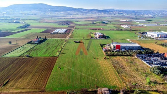 Πωλείται Αγροτεμάχιο 12.500τμ Βασιλικά Περίχωρα Θεσσαλονίκη