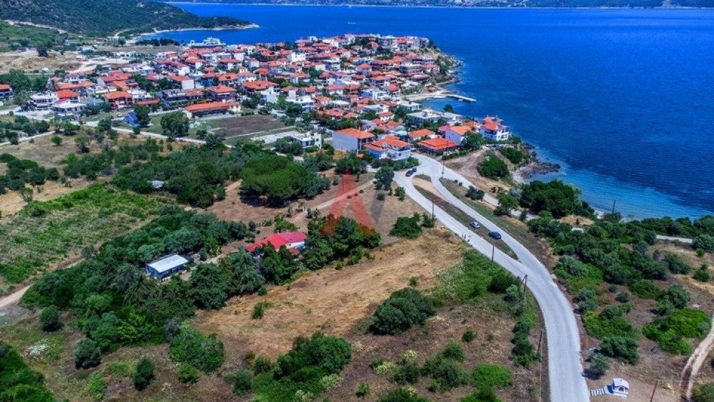 Plot of 3,000 sq m for sale, Amouliani Halkidiki