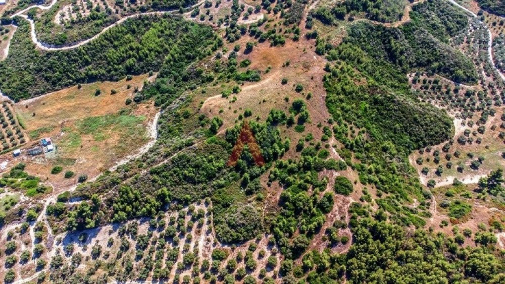 Plot of land for sale 9.379 sq.m. Polychrono Chanioti Halkidiki 