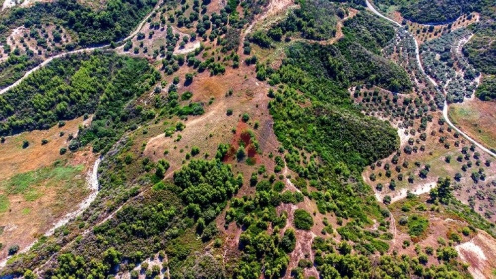 Plot of land for sale 9.379 sq.m. Polychrono Chanioti Halkidiki 