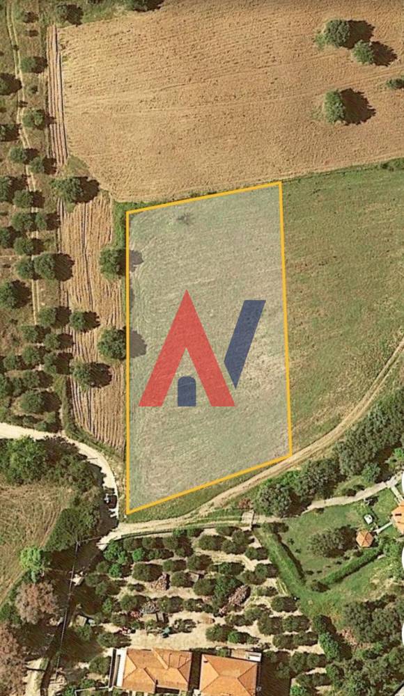 Plot of land 3,500 sq m Paliouri Halkidiki for sale 