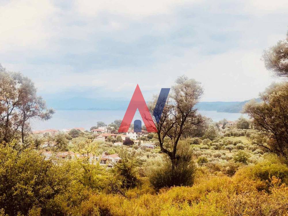 Plot of land 10.064 sq m for sale Kastrakia Thessaloniki Coast Halkidiki