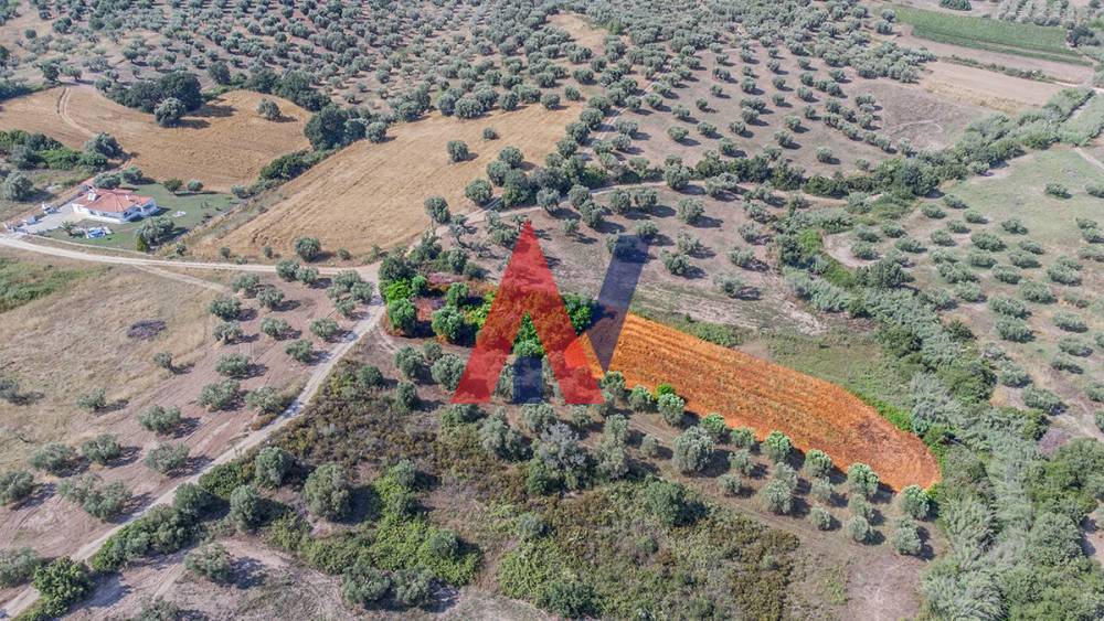 Plot of land 2.365 sq m for sale Kassandrea Halkidiki 