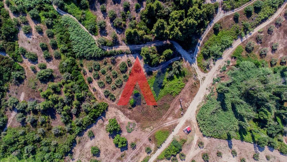 Plot of land 4,965 sq m for sale, Kassandrea, Halkidiki 