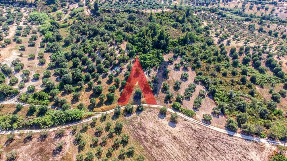 8,000 sq.m. Plot of land for sale, Kassandrea, Halkidiki 