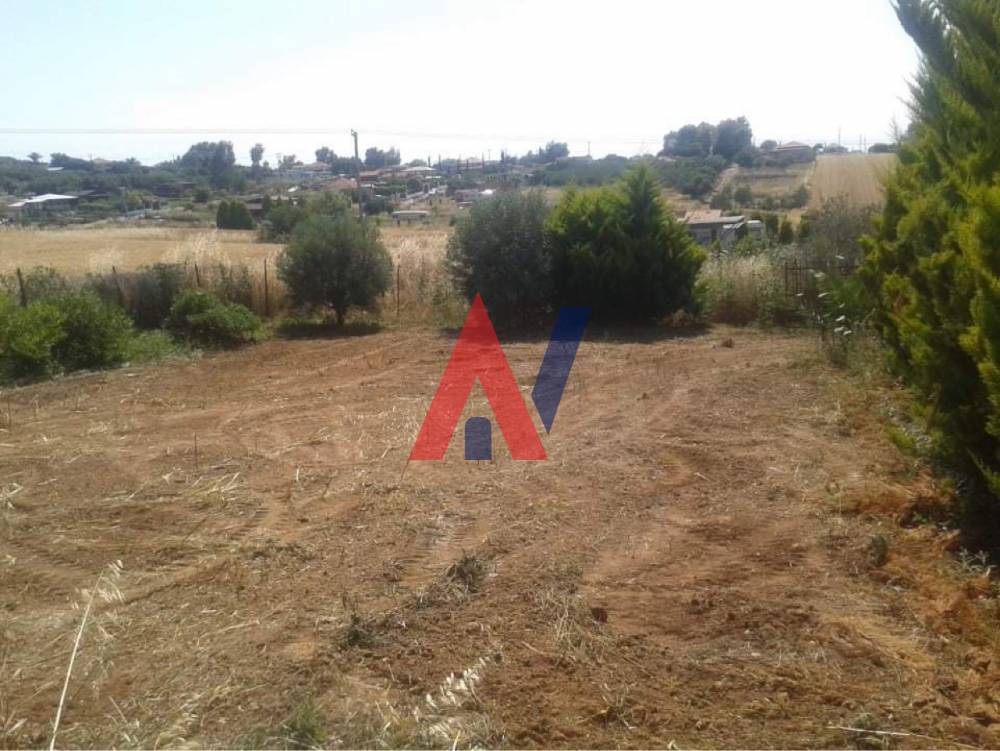 Plot of land 500 sq m Nea Potidaia Halkidiki for sale 