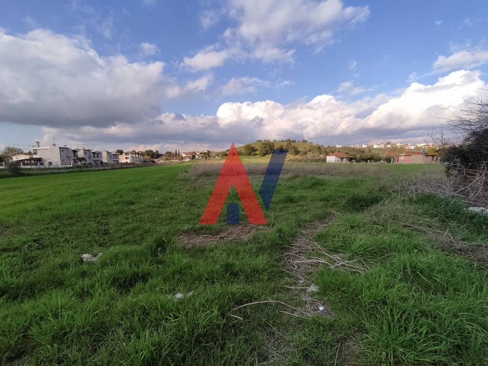 Plot of land 4,590 sq m for sale, Nea Flogita, Halkidiki 