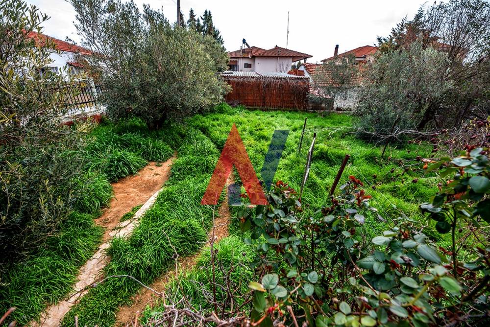 Πωλείται 2 επιπέδων Μονοκατοικία 300τμ Νέα Τρίγλια Χαλκιδική