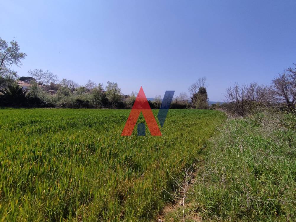 Plot of land 33,500sqm for sale, Nea Potidea, Halkidiki 
