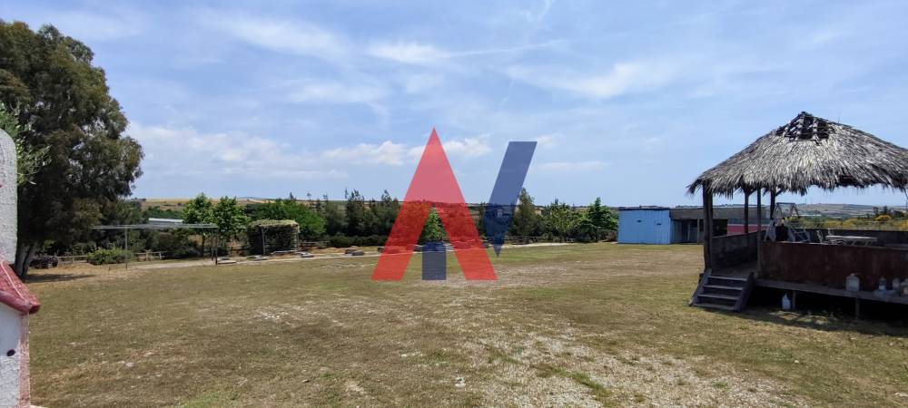 Plot of land 2.165 sq m for sale, Kato Scholari Perichora, Thessaloniki 