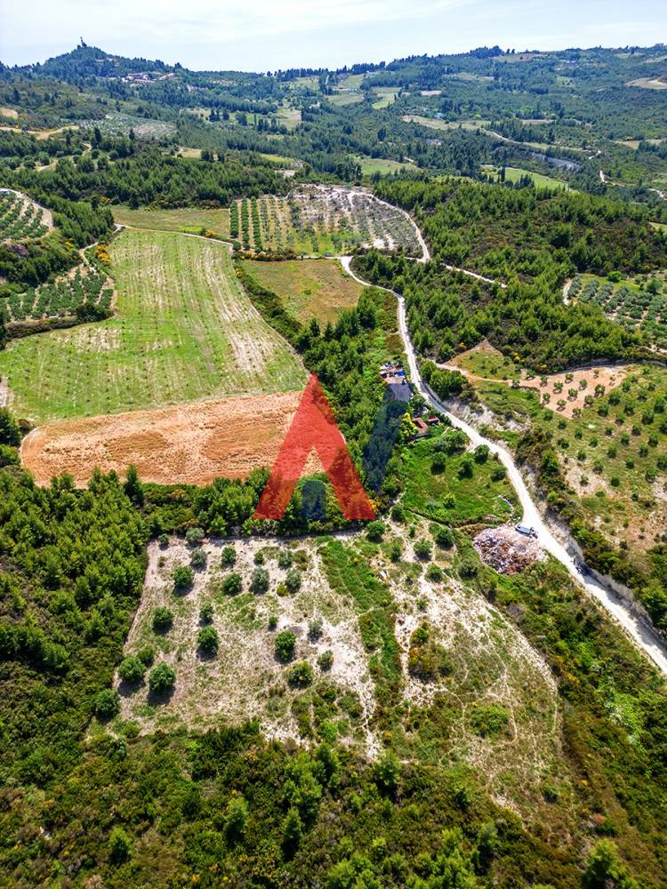 Πωλείται Αγροτεμάχιο 4.095τμ Πευκοχώρι Χαλκιδική