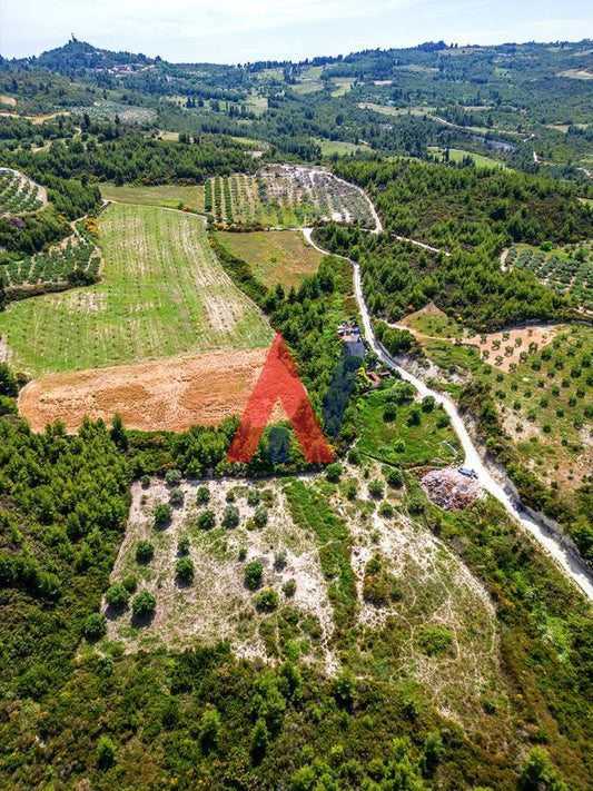 Plot of land 4.095 sq m for sale, Pefkohori, Halkidiki 