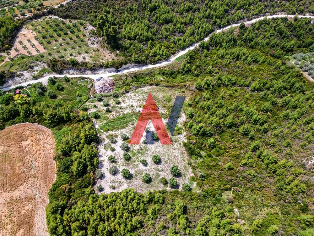 Plot of land 4,440 sq m for sale, Pefkohori, Halkidiki 