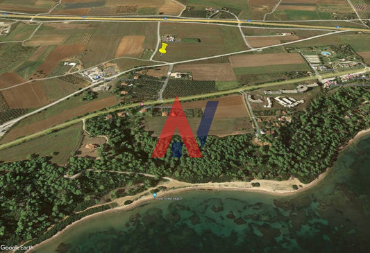 Plot of land 5,875 sq m for sale, Nea Fokaia, Halkidiki 