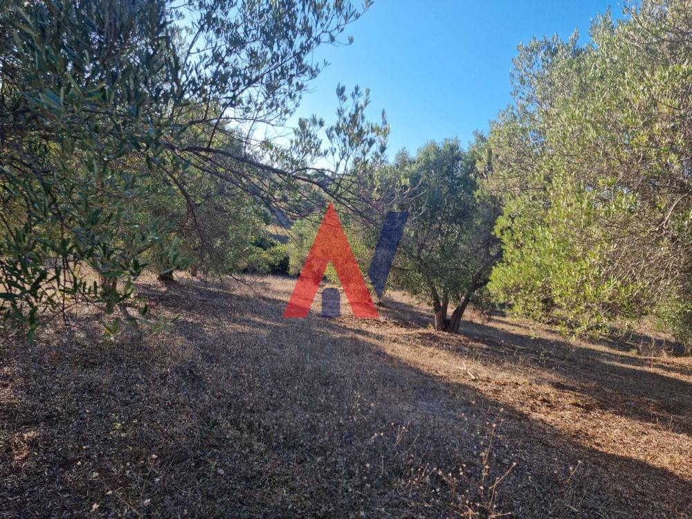 Plot of land 4,500 sq m for sale, Agia Paraskevi, Halkidiki 