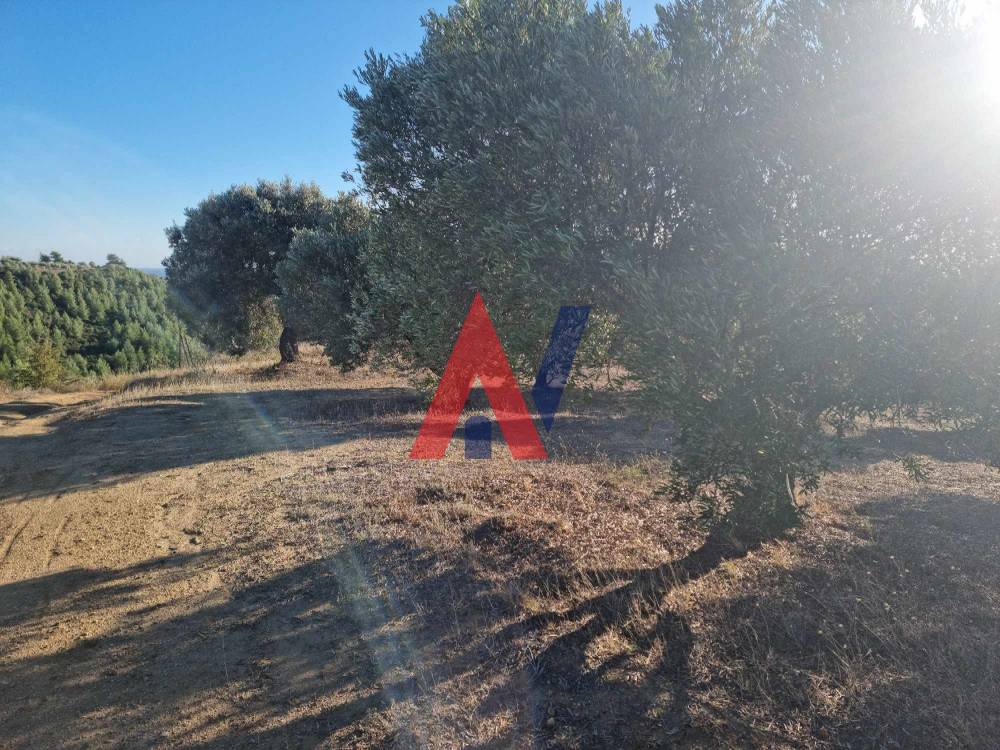 Plot of land 4,500 sq m for sale, Agia Paraskevi, Halkidiki 