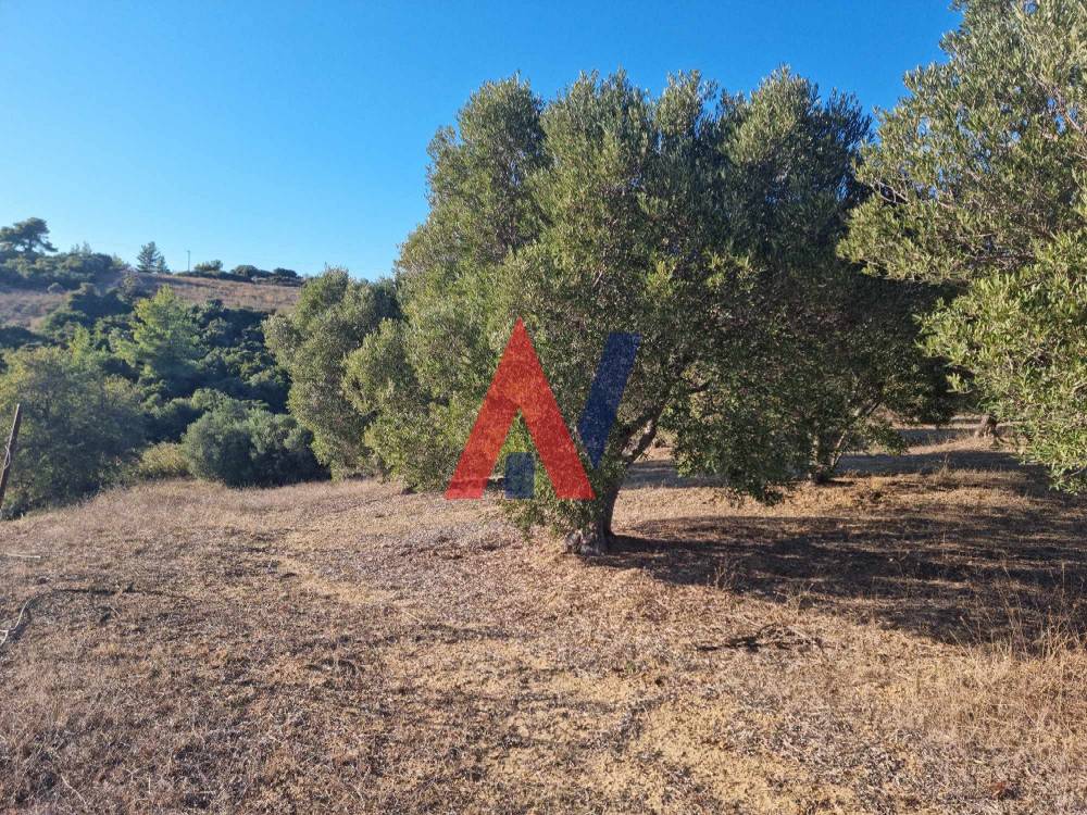 Plot of land 4,500 sq m for sale, Agia Paraskevi, Halkidiki 