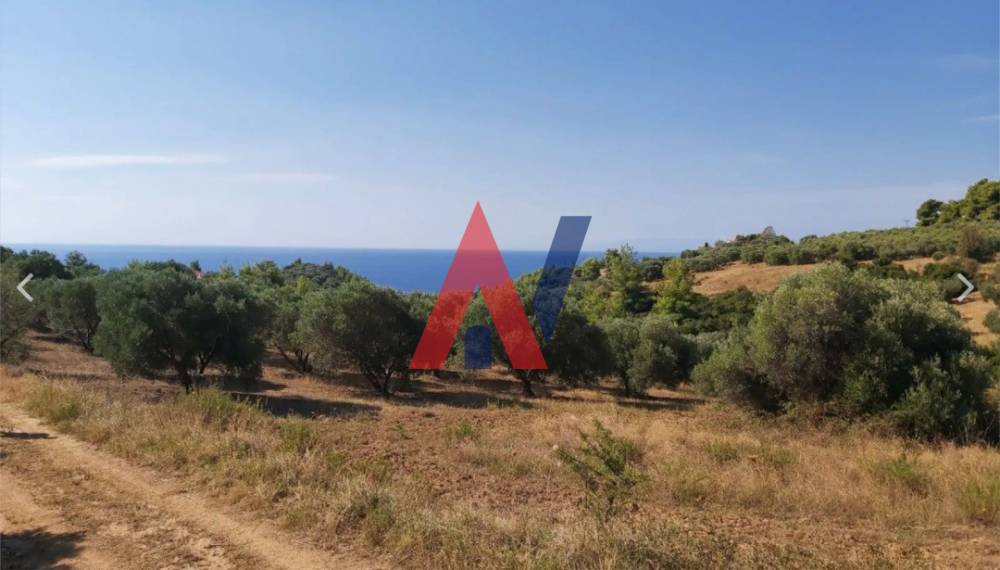 Plot of land 4,500 sq m for sale, Agia Paraskevi, Halkidiki 