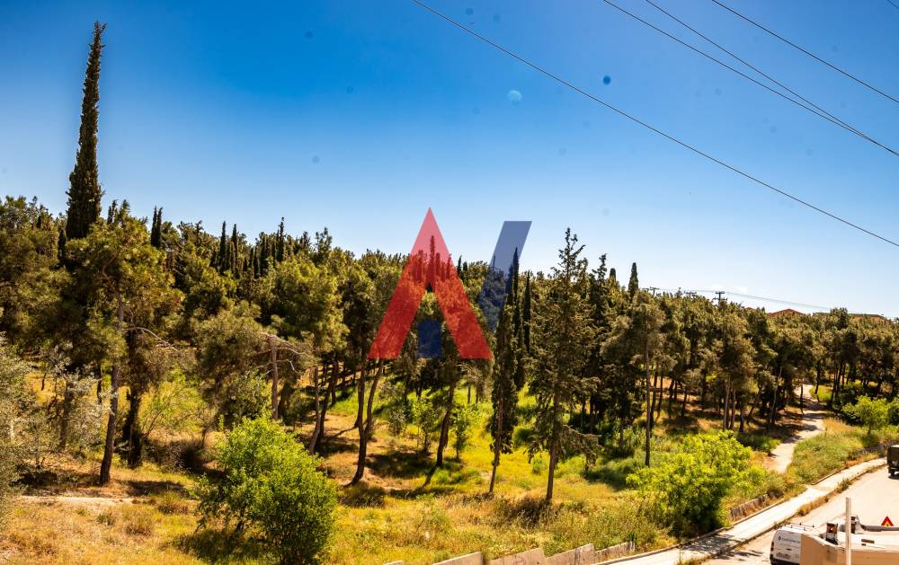 Πωλείται Κτίριο Πολυκατοικία 240τμ 40 Εκκλησιές Θεσσαλονίκη