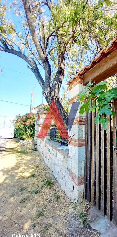 For sale 3 levels Detached House 250sqm Nea Fokaia Halkidiki 