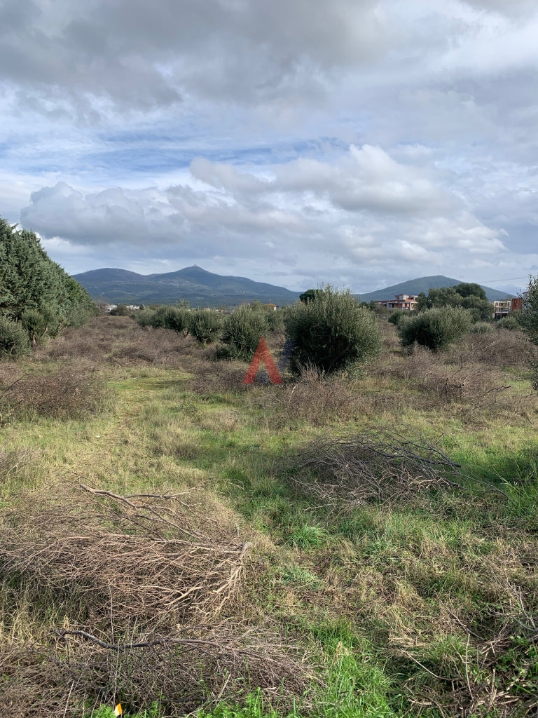 Plot of land 8.000sqm Mediteranian Cosmos Thermi Perichora Thessaloniki for sale