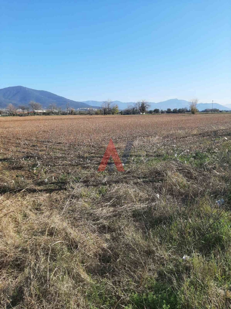 Plot of land 6,400 sq m for sale, Thermi Perichora, Thessaloniki