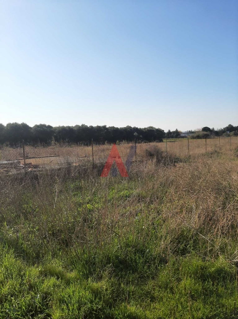 Plot of land 6,400 sq m for sale, Thermi Perichora, Thessaloniki