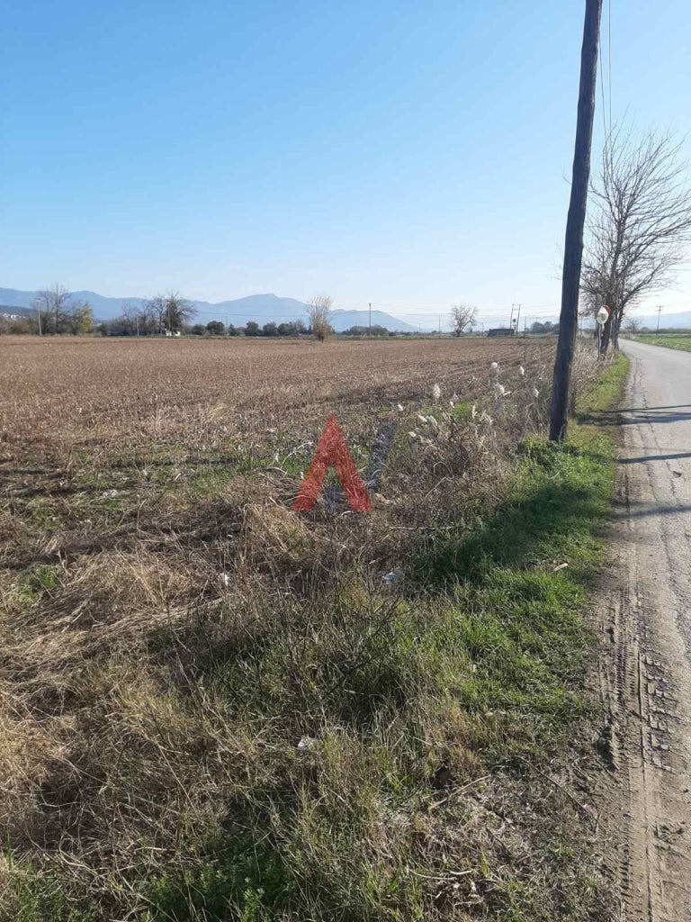 Plot of land 6,400 sq m for sale, Thermi Perichora, Thessaloniki