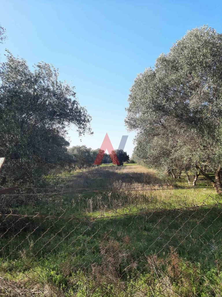 Plot of land 5.075 sq m for sale, Thermi Perichora, Thessaloniki