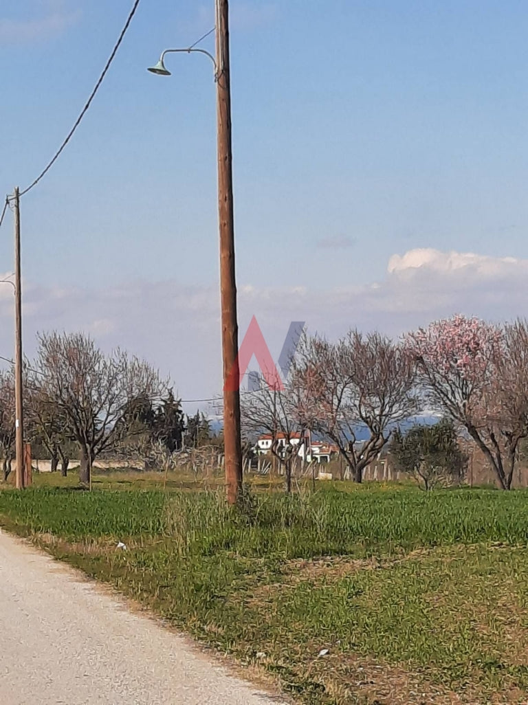 Plot of land 7,100 sq m for sale, Ano Perea, Thessaloniki