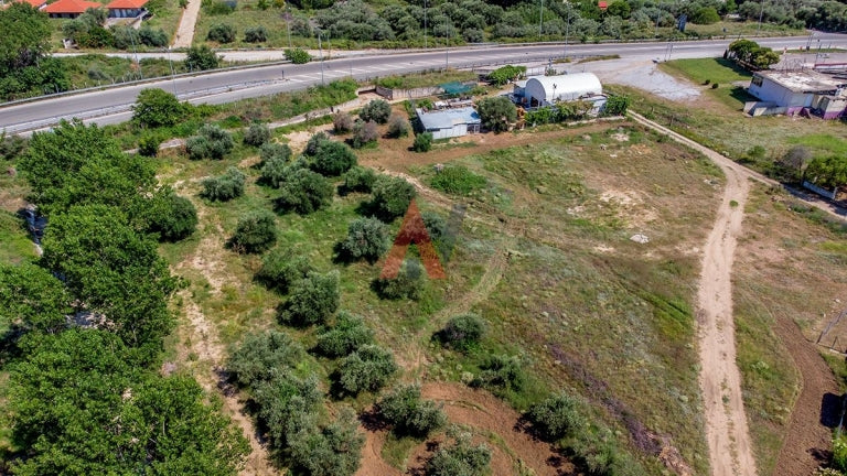 For sale Agrotremachio 7.000sqm Asprovalta Perichora Thessaloniki