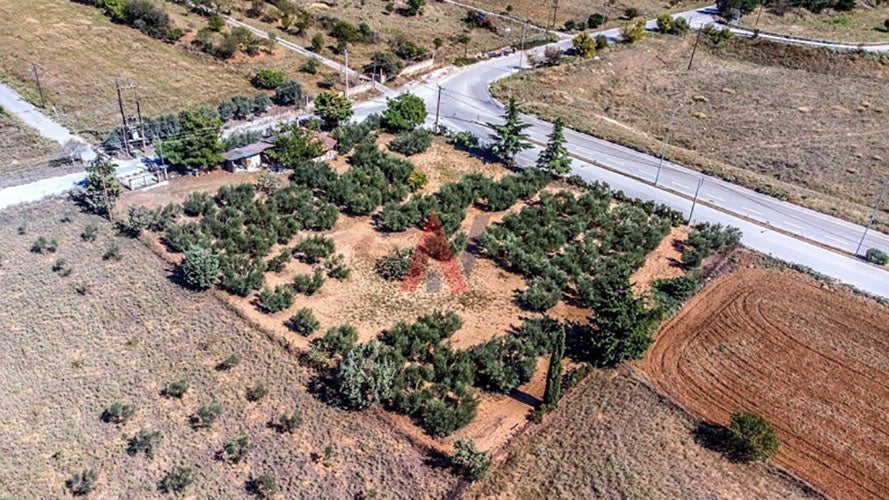 Plot for rent 4,800 sq m Agricultural School Pylaia Thessaloniki